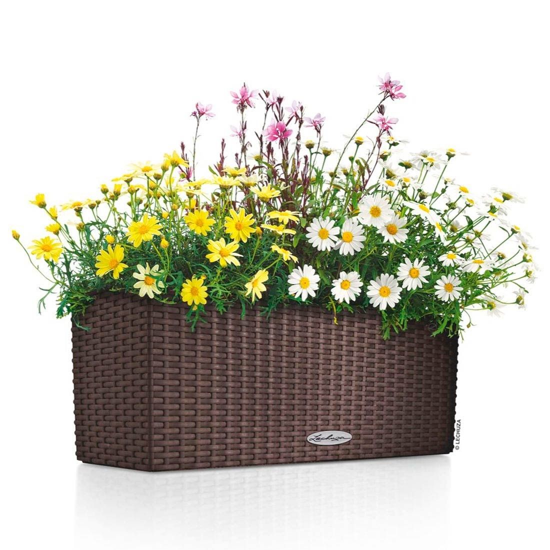 Lechuza Balconera 80 Pflanzgefäß Komplettset
