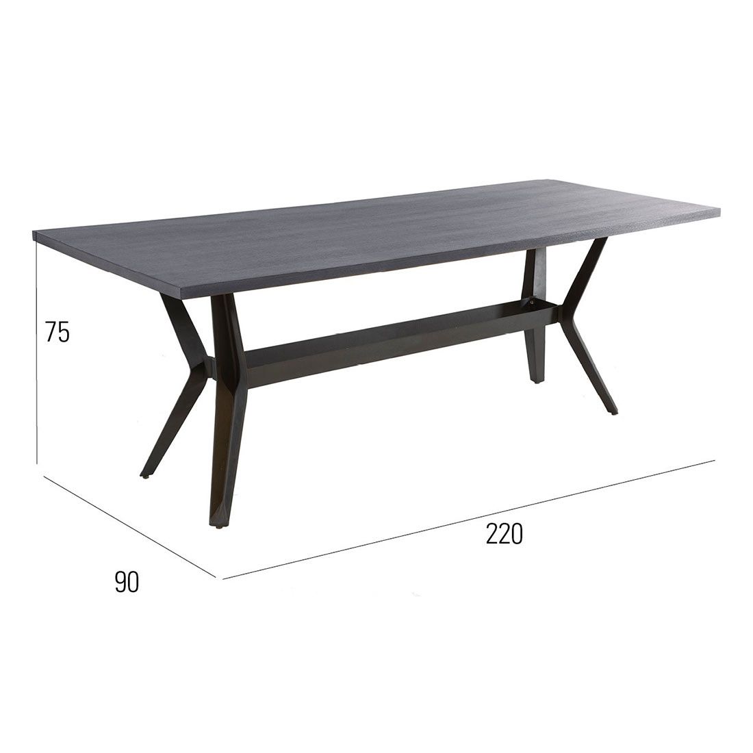 MBM Universal Tisch 220x90cm Schmiedeeisen/Resysta