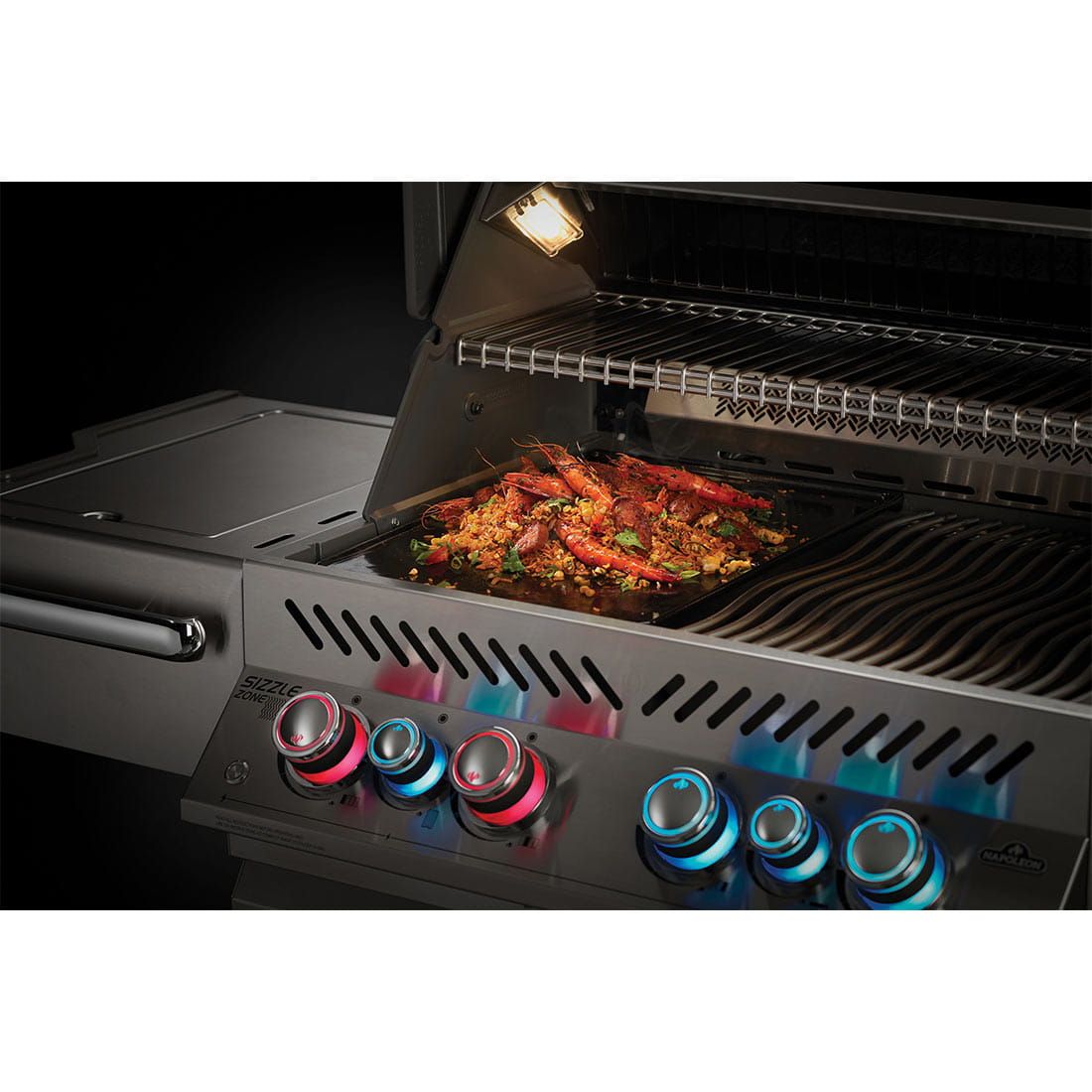 Napoleon Prestige BILEX und PRO 605 Gussplatte
