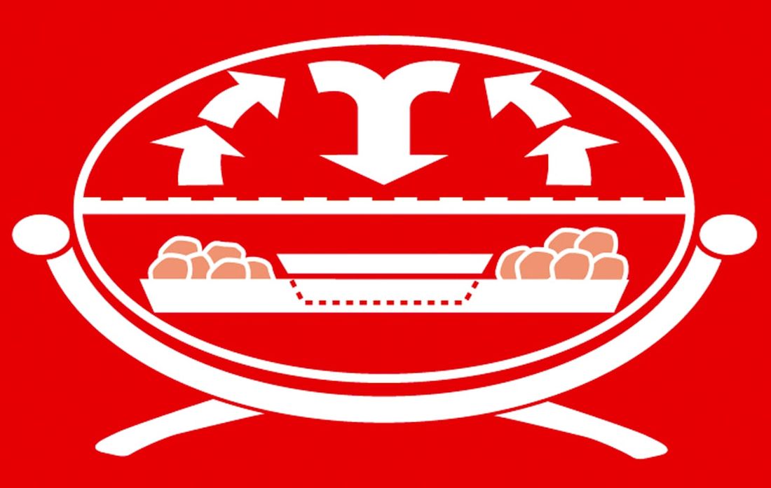 Weber Holzkohlekörbe, 2er-Set