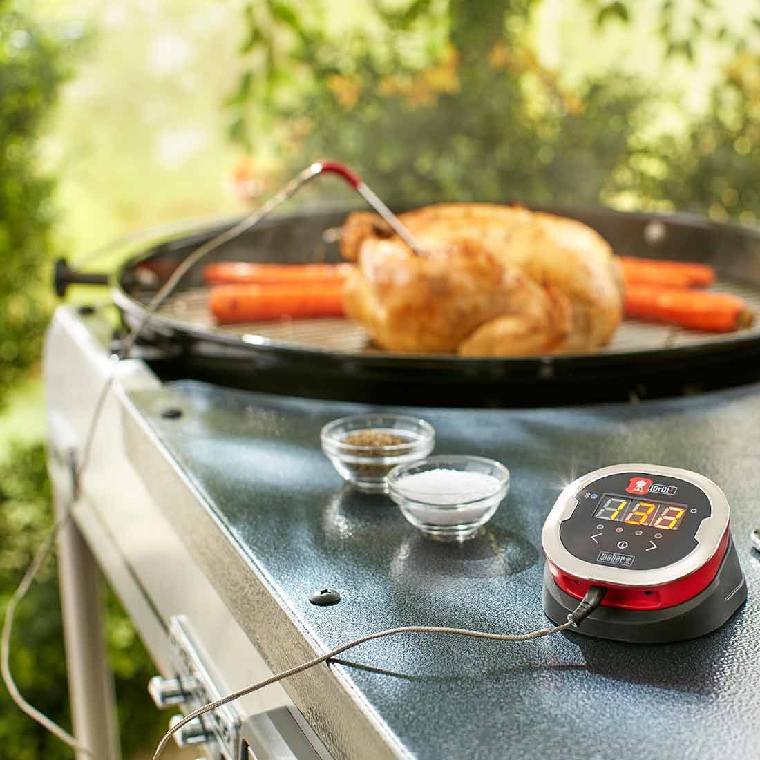 Weber iGrill 2 mit zwei Messfühlern