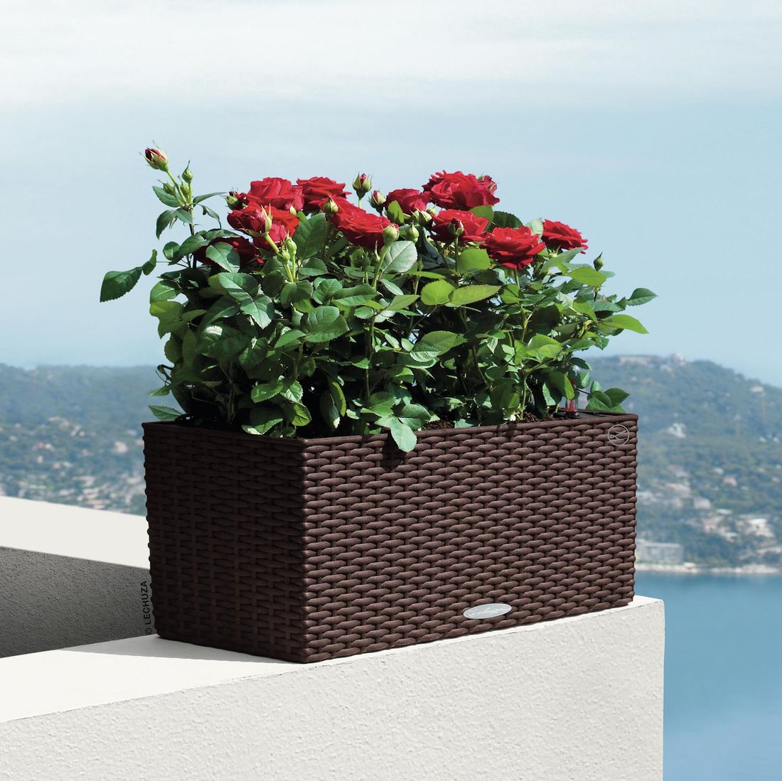 Lechuza Balconera 50 Pflanzgefäß Komplettset