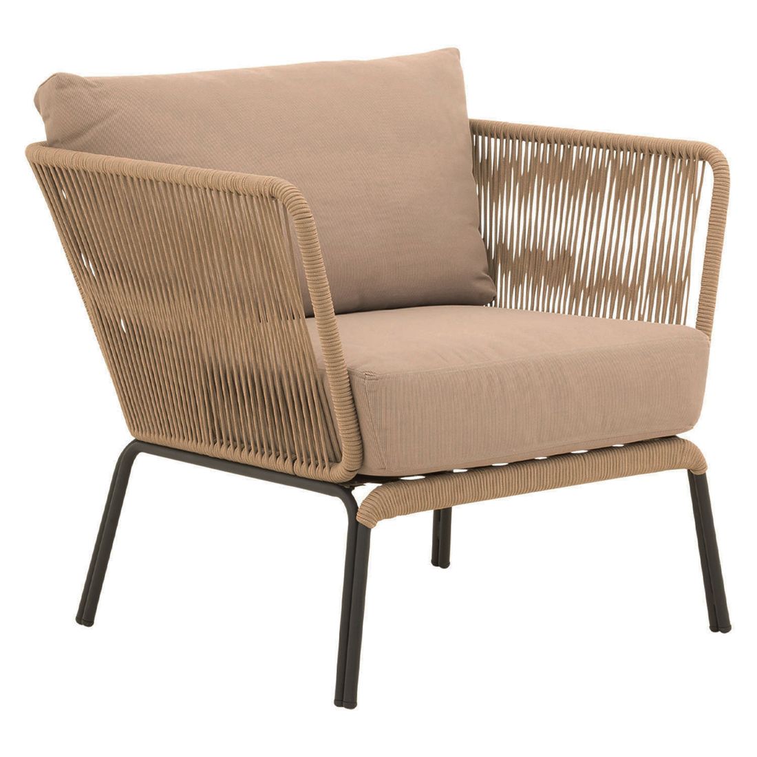 Cosmic Collection Lion Loungesessel Stahl/Rope
