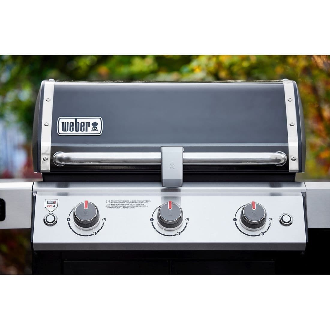 Weber Genesis II EX-315 GBS Gasgrill