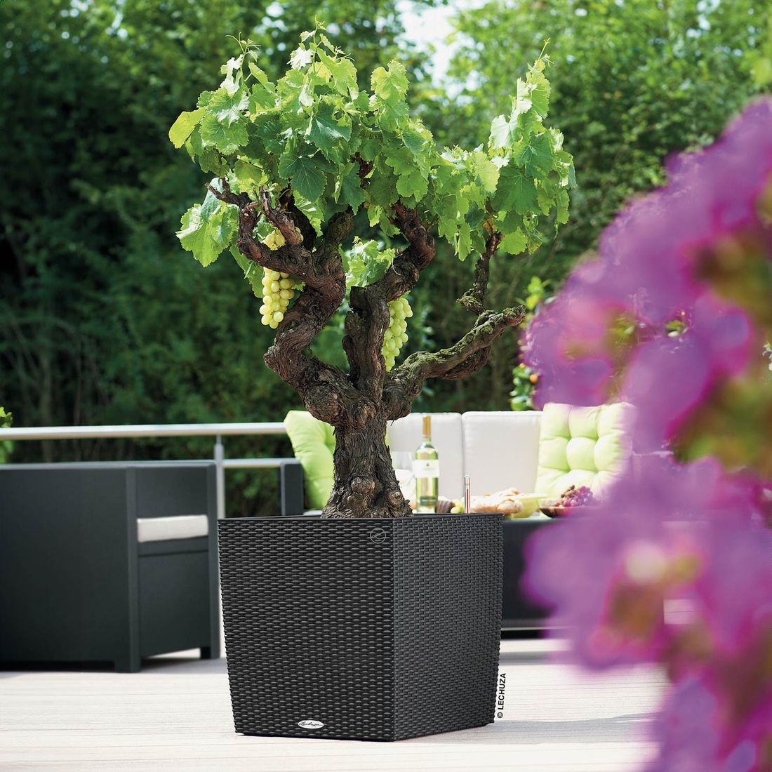 Lechuza Cube Pflanztopf 50x50x50cm Kunststoff