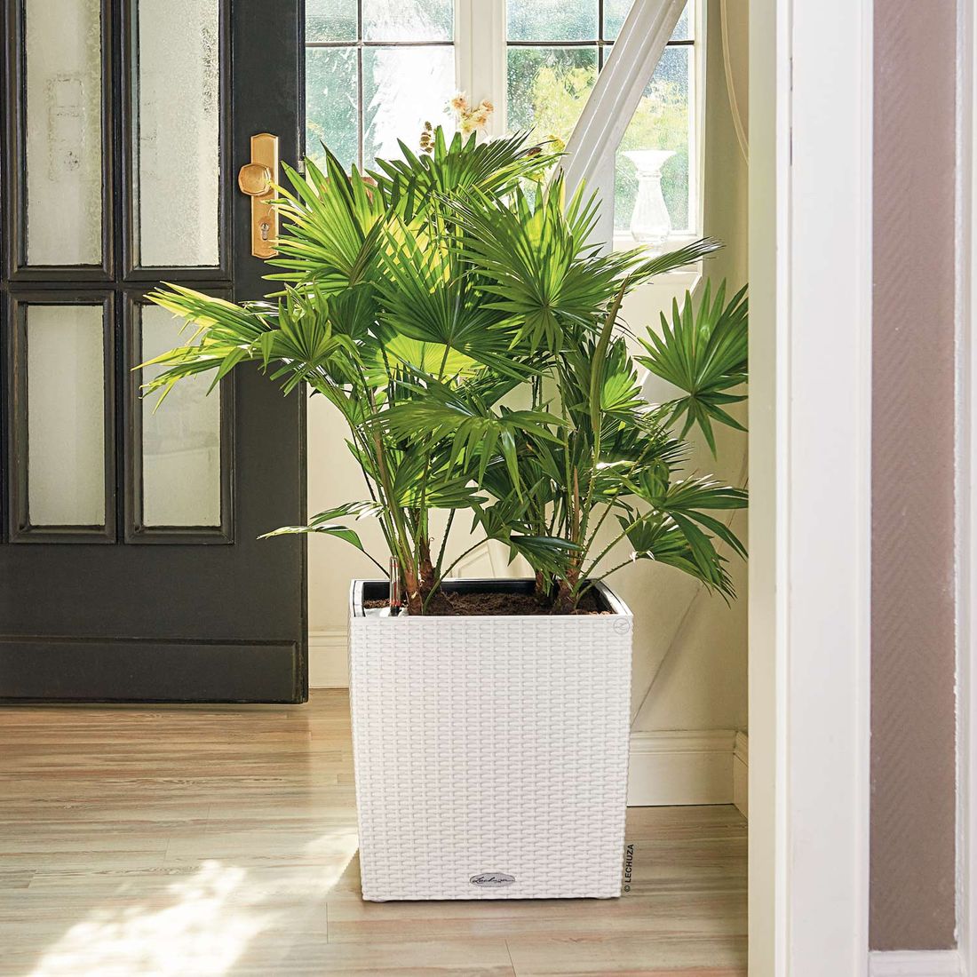 Lechuza Cube Pflanztopf 40x40x40cm Kunststoff