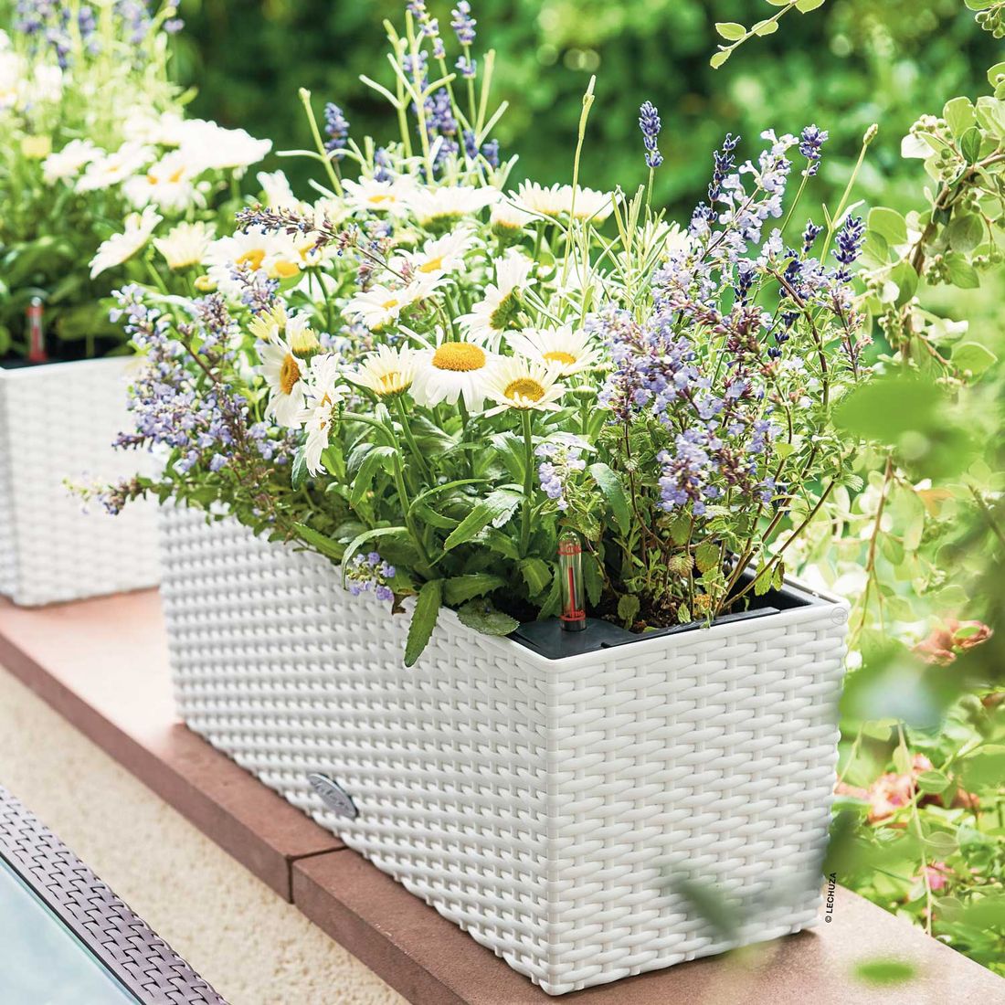 Lechuza Balconera 50 Pflanzgefäß Komplettset