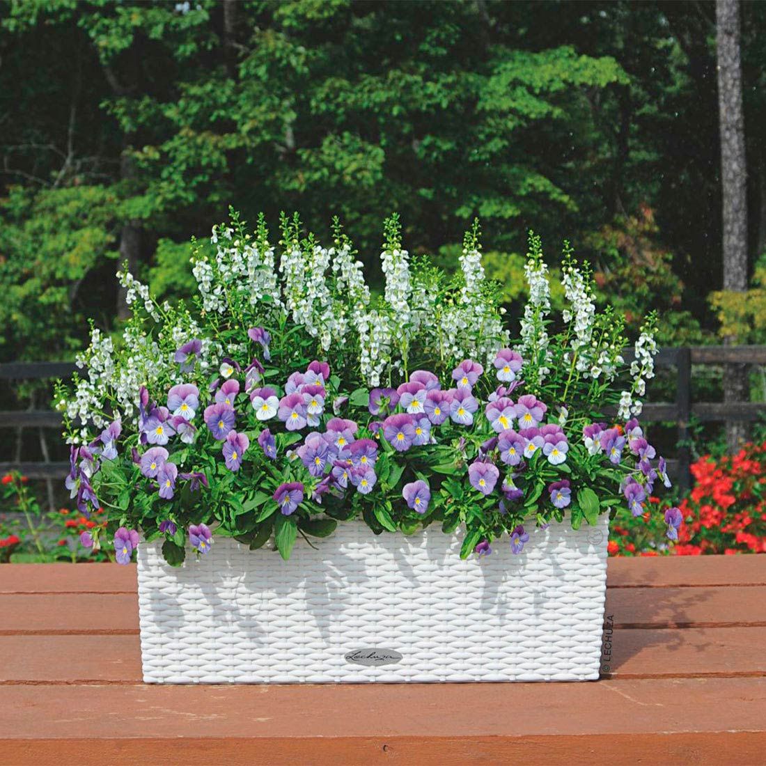 Lechuza Balconera 50 Pflanzgefäß Komplettset