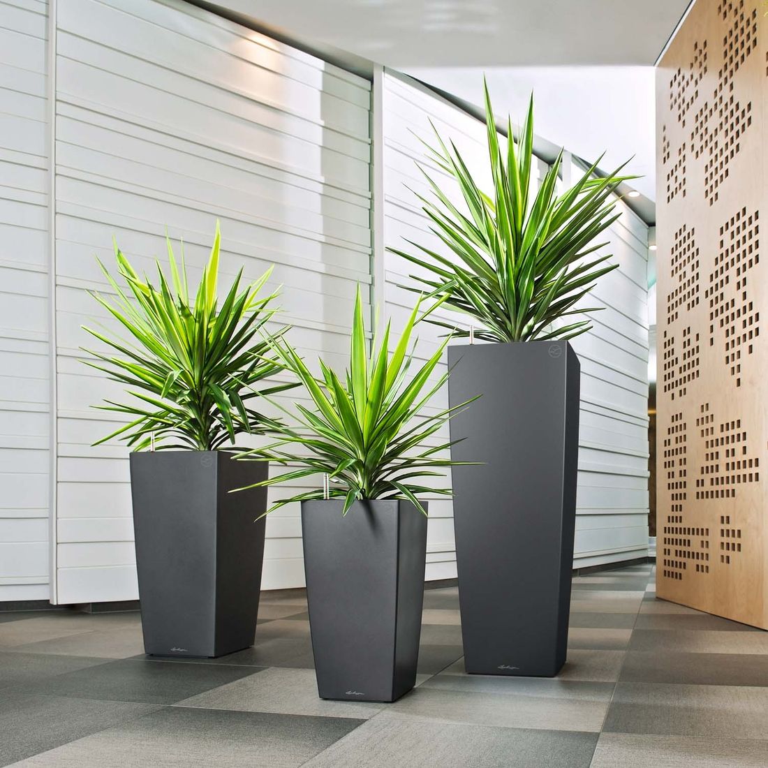 Lechuza Cubico Premium 40 Pflanzgefäß 39,5x39,5x75,5cm Kunststoff