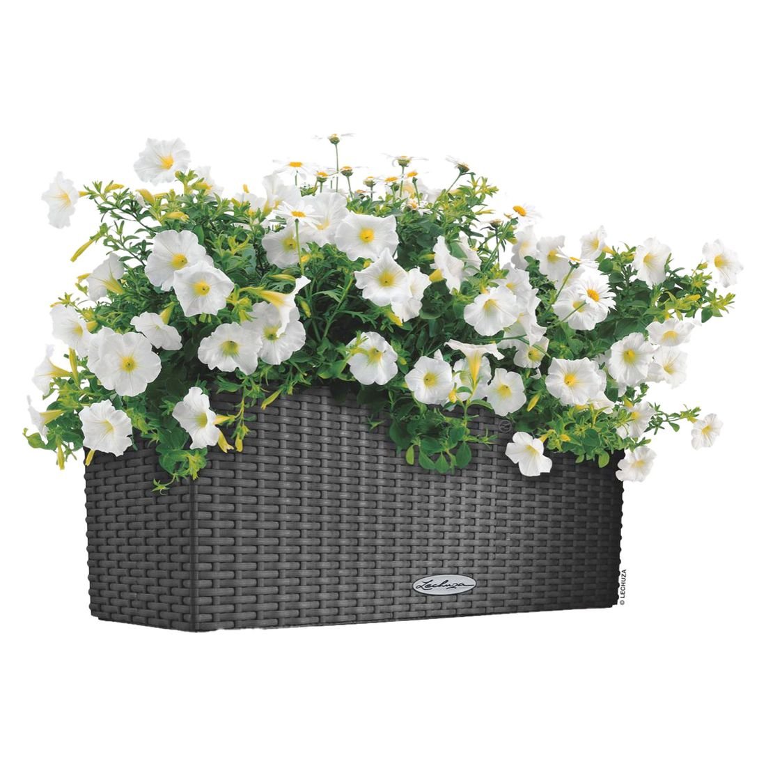 Lechuza Balconera 50 Pflanzgefäß Komplettset