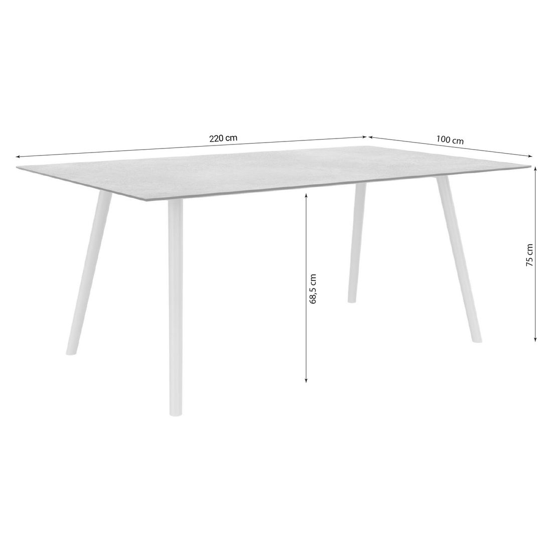 Stern Interno Gartentisch 220x100cm Aluminium/Silverstar 2.0