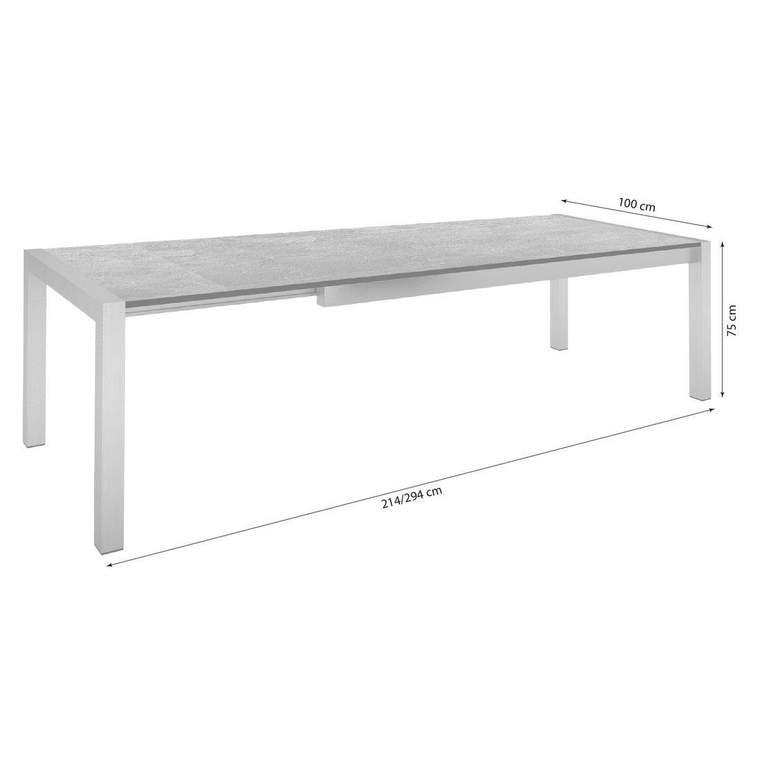 Stern Ausziehtisch 214/294x100cm Edelstahl/Silverstar