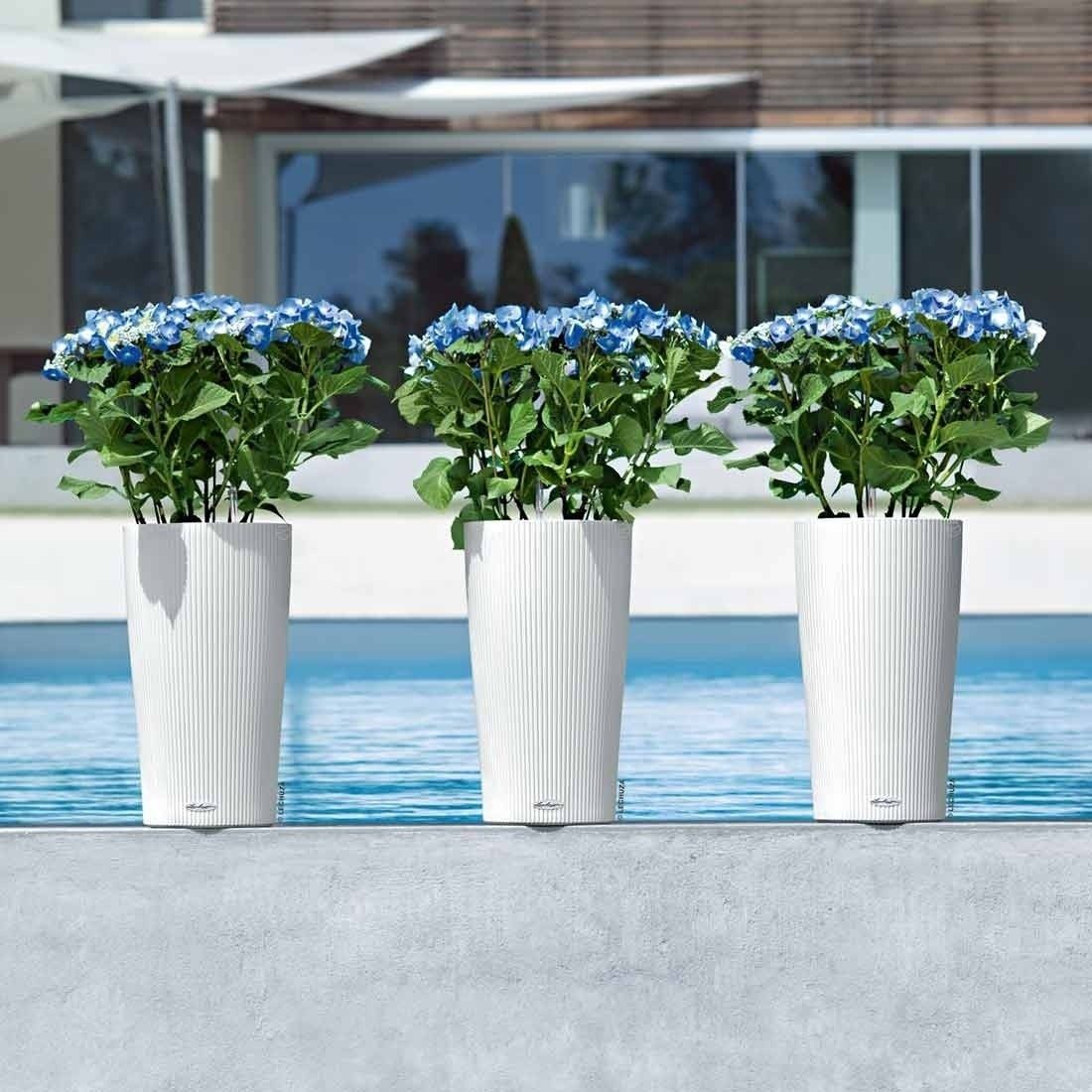 Lechuza Cilindro Pflanztopfset 2-teilig Ø32x56cm Kunststoff