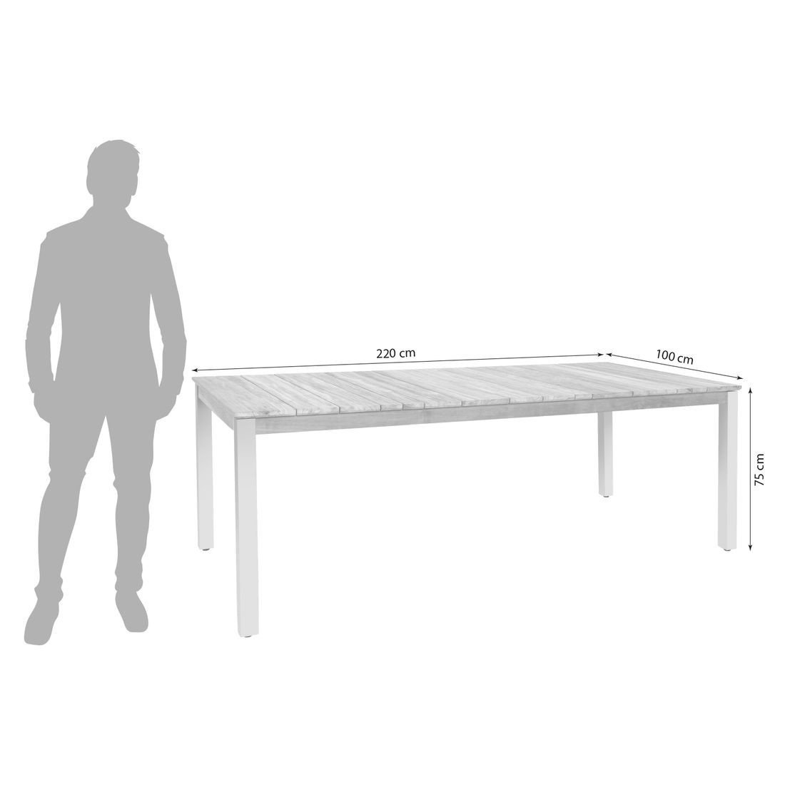 Zebra Derex Gartentisch 220x100cm Aluminium/Teak