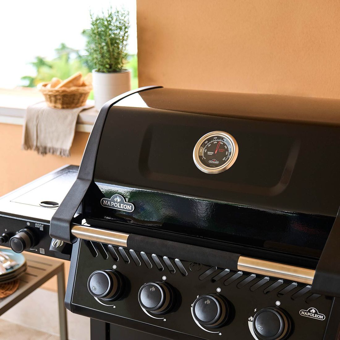Napoleon Freestyle PRO 425 Gasgrill FP425DSIBPK