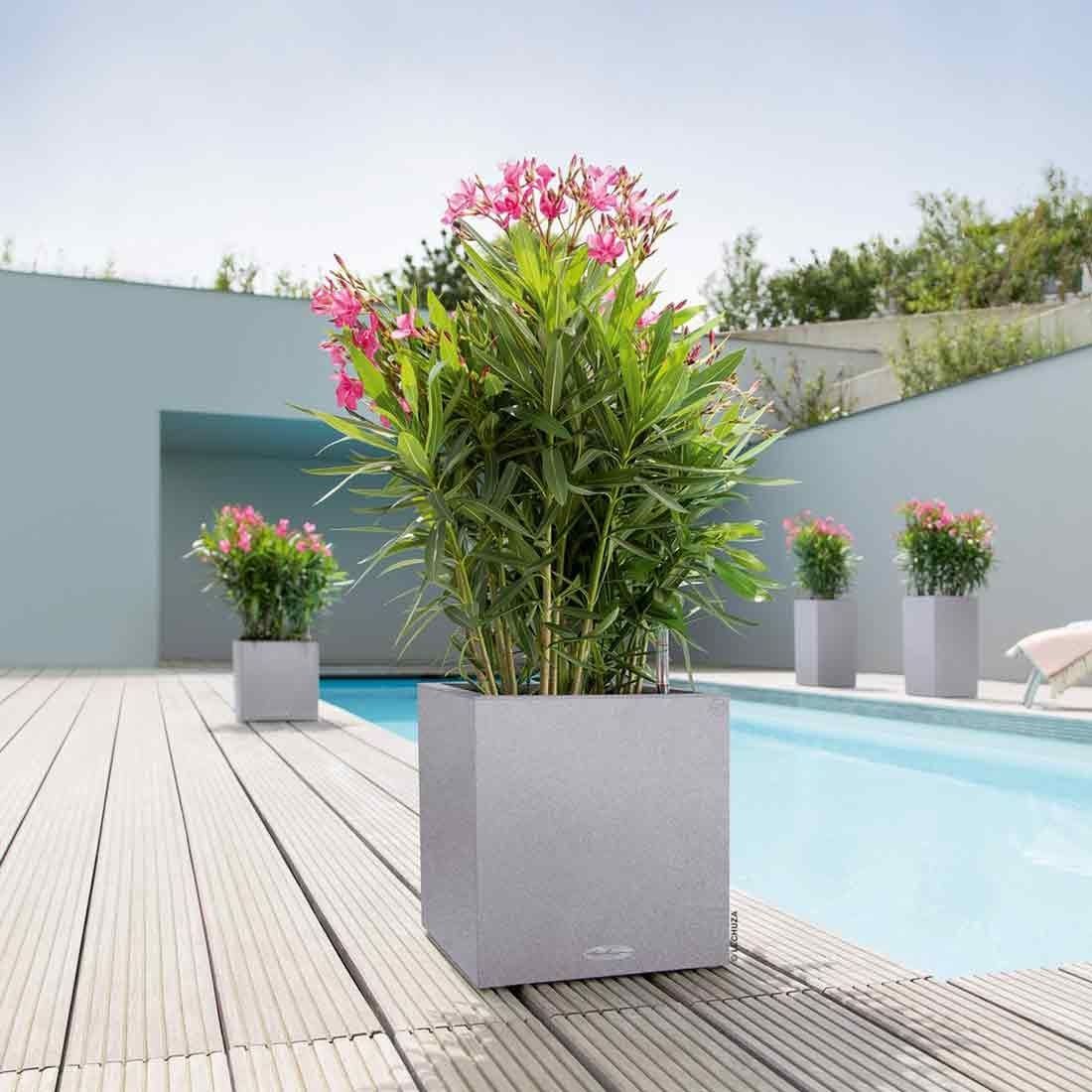 Lechuza Canto Pflanztopf 40x40x40cm Kunststoff