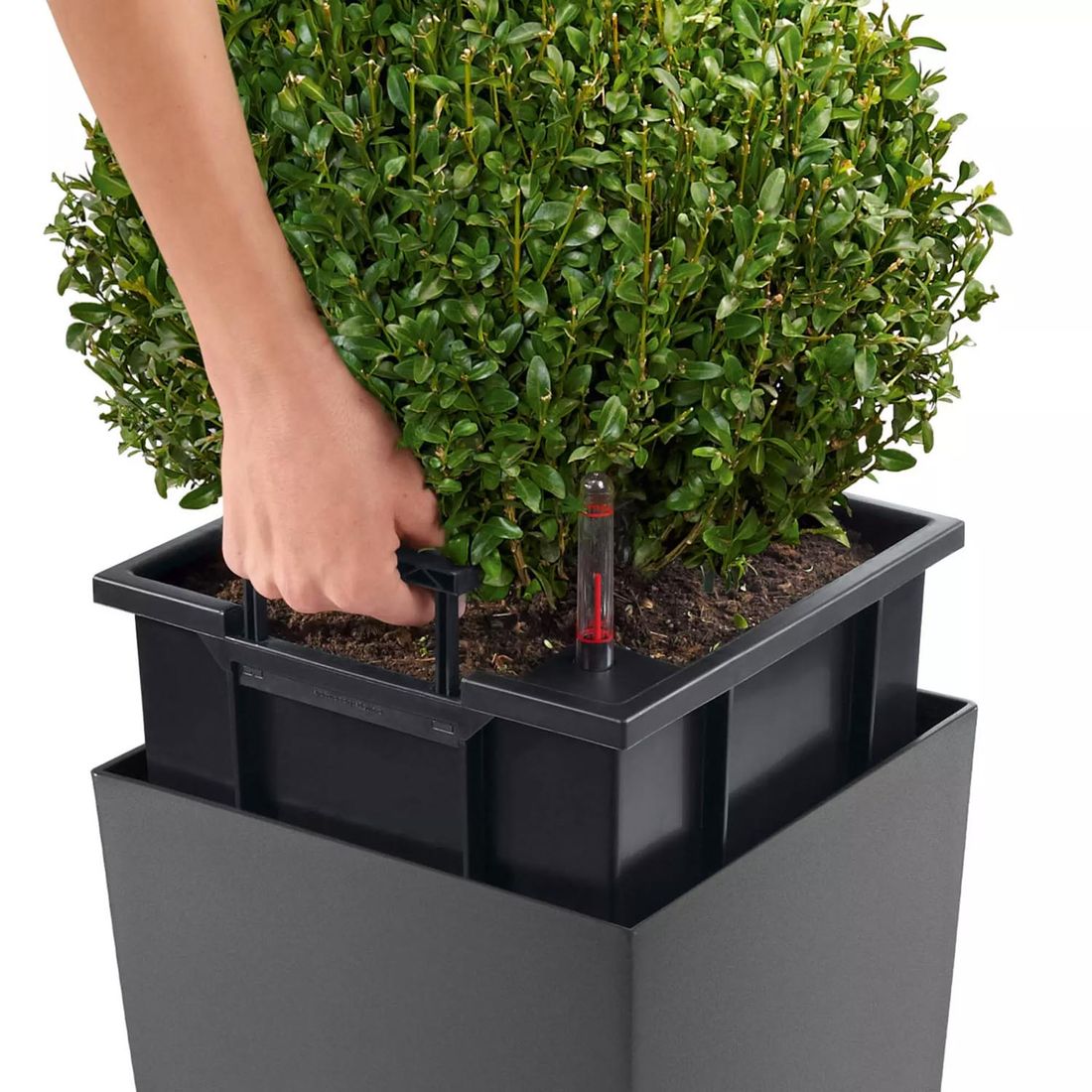 Lechuza Cubico Premium 40 Pflanzgefäß 39,5x39,5x75,5cm Kunststoff