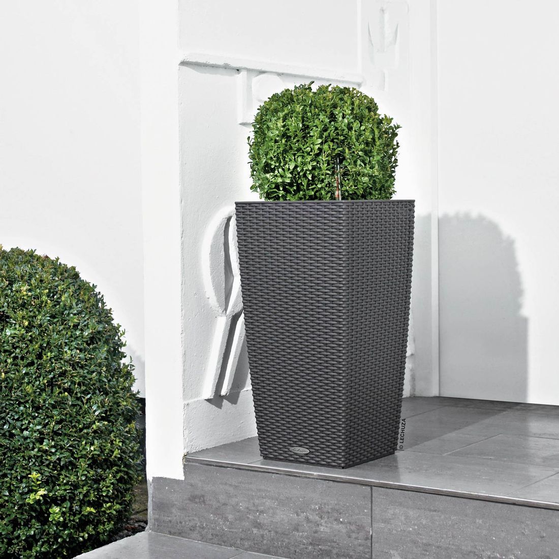 Lechuza Cubico Pflanztopfset 2-teilig 30x30x56cm Kunststoff