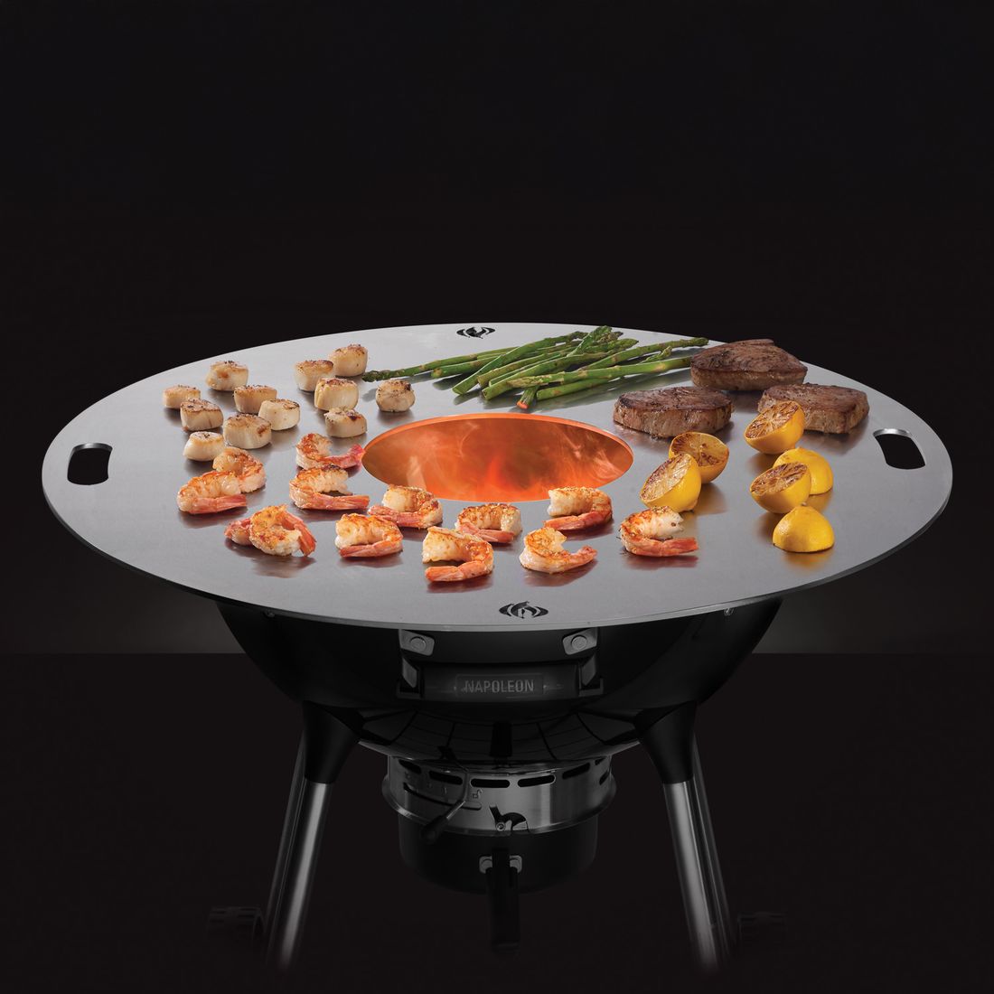 Napoleon Feuerplatte für Holzkohlegrills