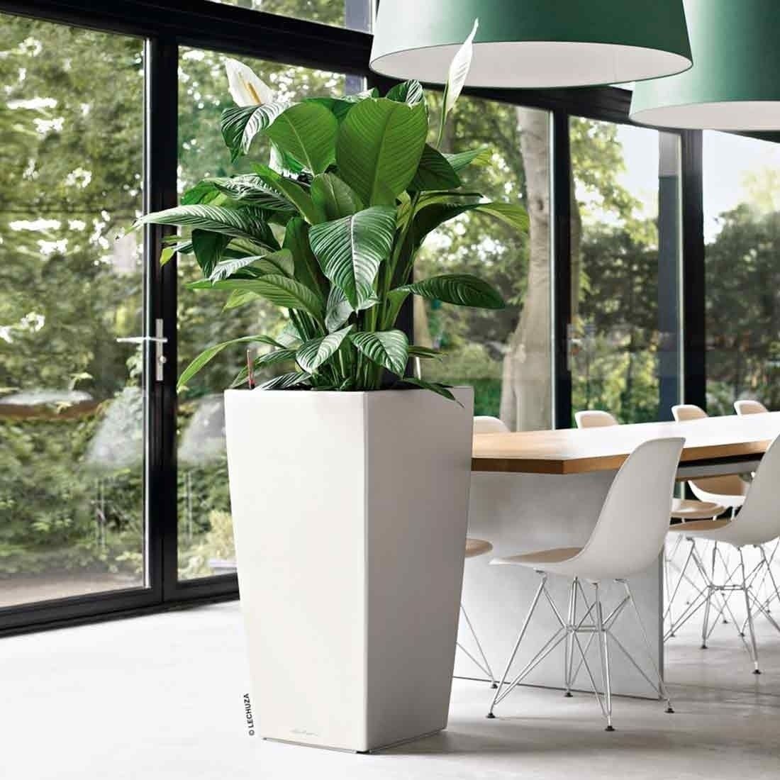 Lechuza Cubico Pflanztopfset 2-teilig 30x30x56cm Kunststoff