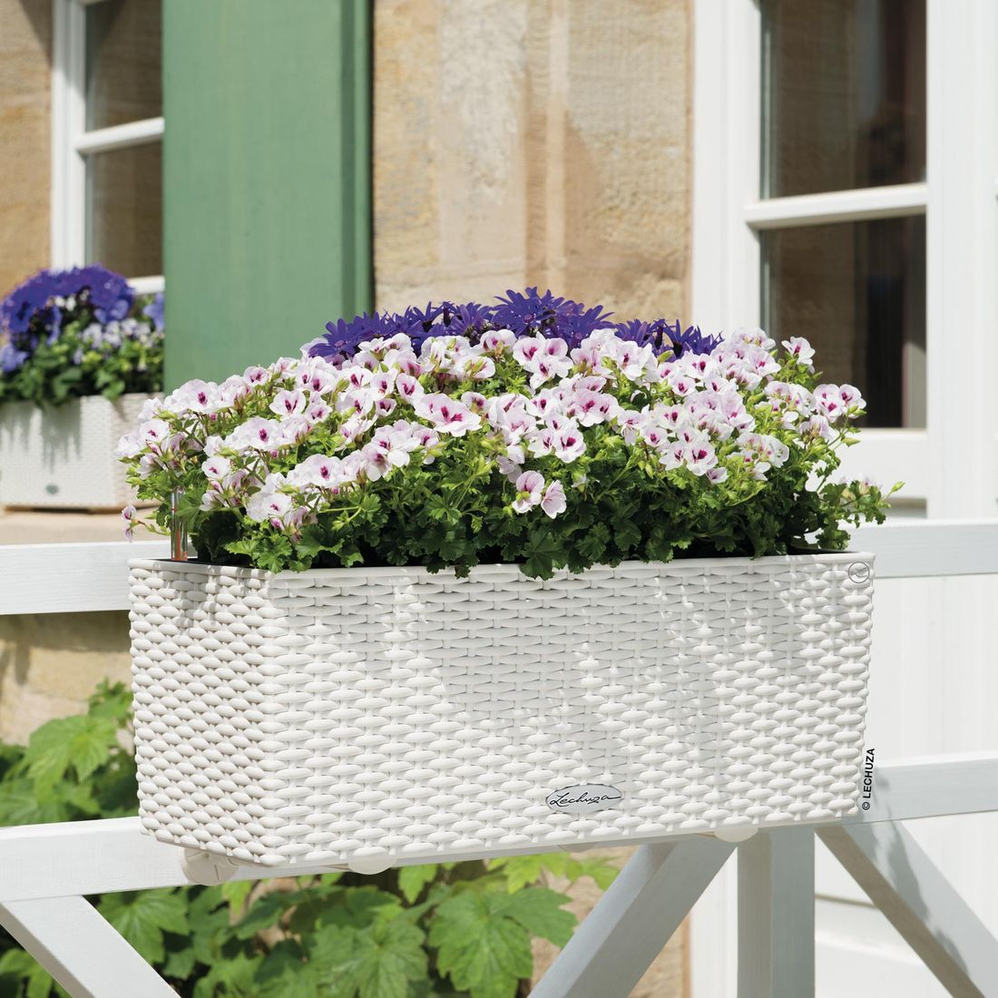 Lechuza Balconera 50 Pflanzgefäß Komplettset