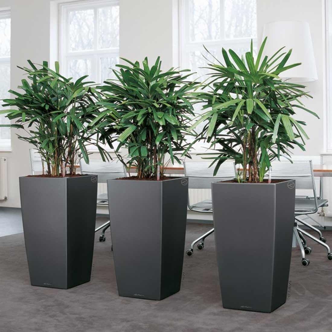 Lechuza Cubico Pflanztopfset 2-teilig 40x40x75cm Kunststoff
