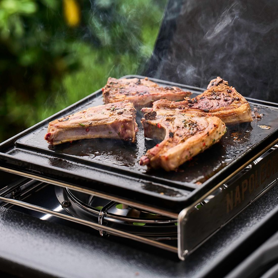 Napoleon Freestyle 365 Gasgrill F365DSBPK