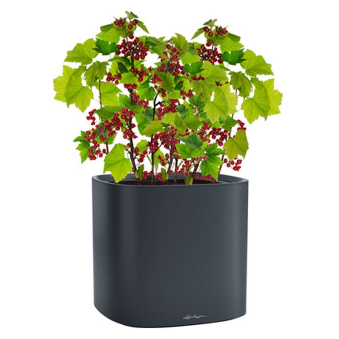 Lechuza Pila Planter Pflanztopf 35x35cm Kunststoff