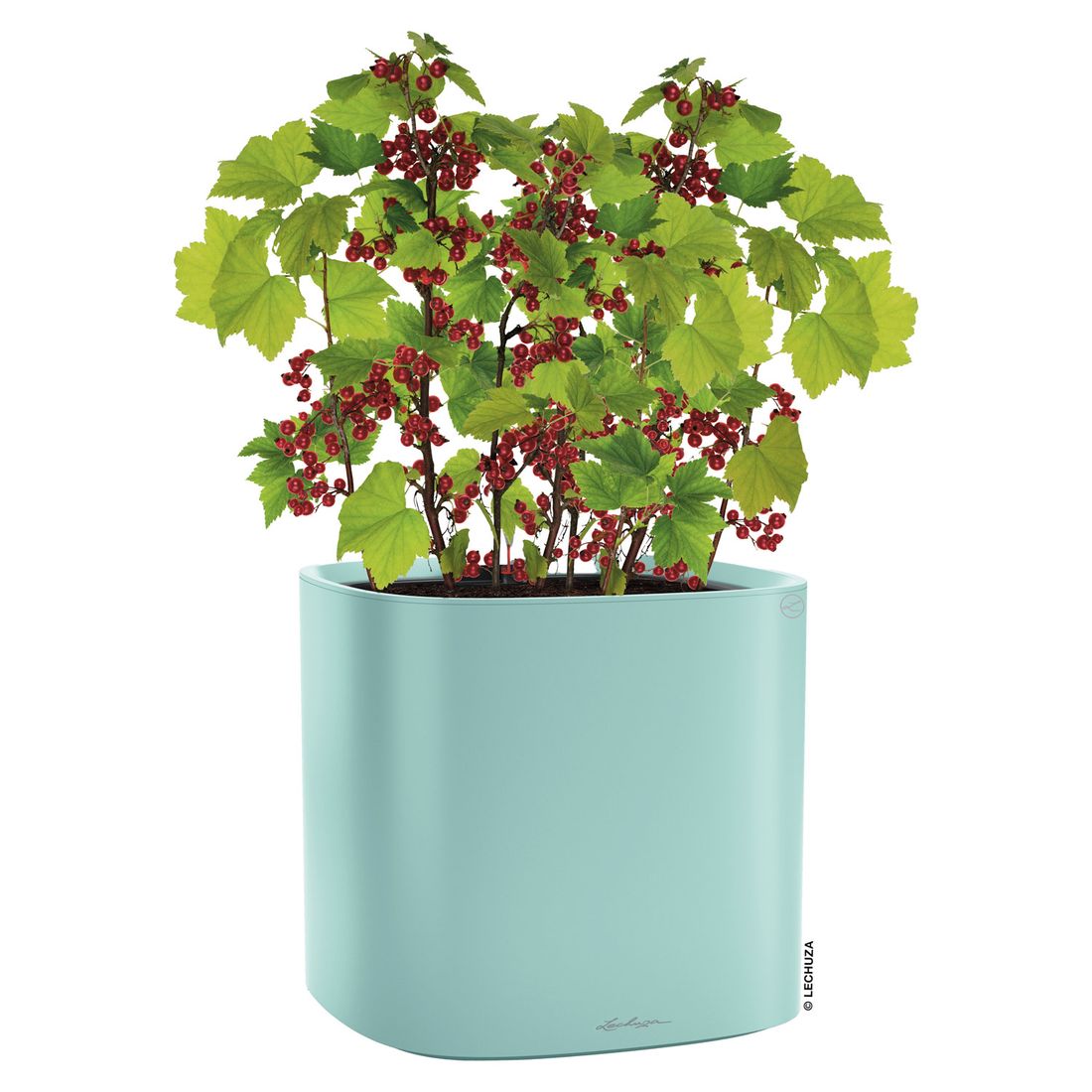 Lechuza Pila Planter Pflanztopf 35x35cm Kunststoff