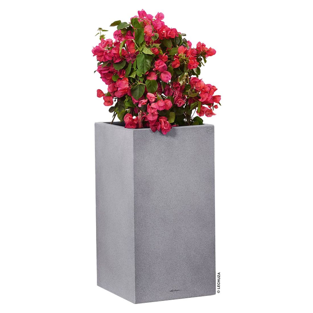 Lechuza Canto Pflanztopf 30x30x56cm Kunststoff