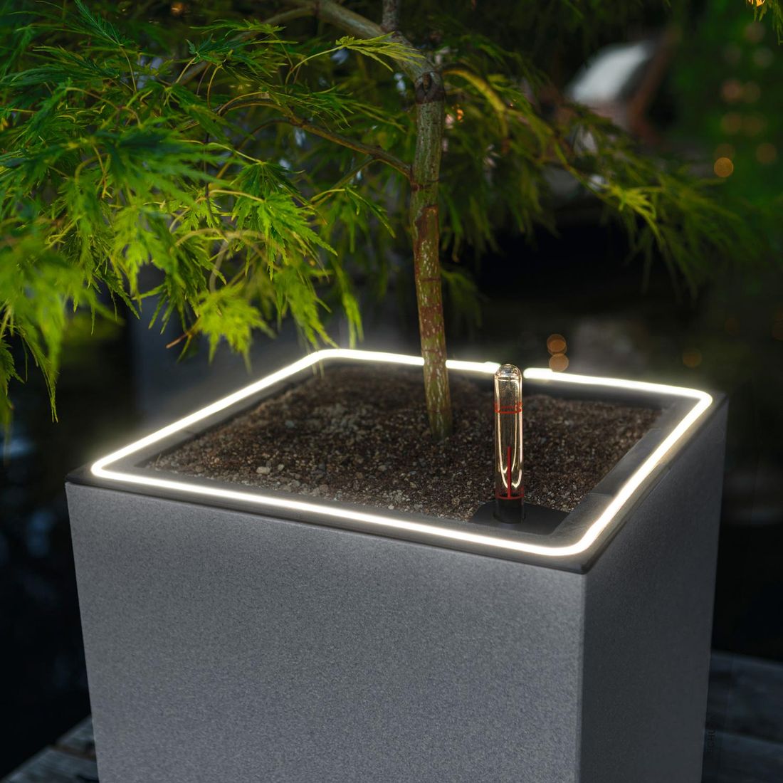 Lechuza Canto Stone 30 LED Pflanzgefäß mit Beleuchtung Kunststoff
