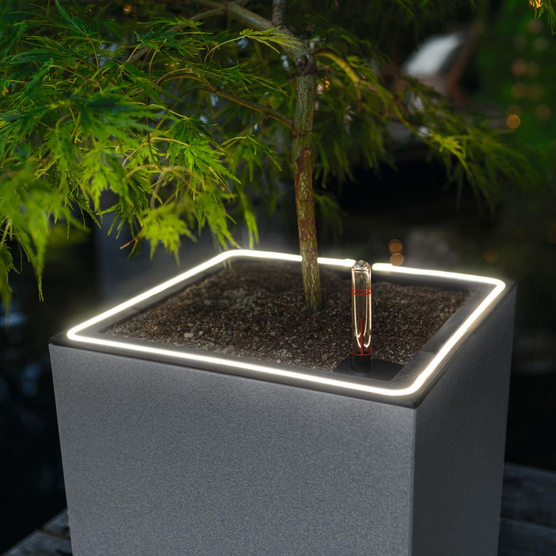 Lechuza Canto Stone 40 LED Pflanzgefäß mit Beleuchtung Kunststoff