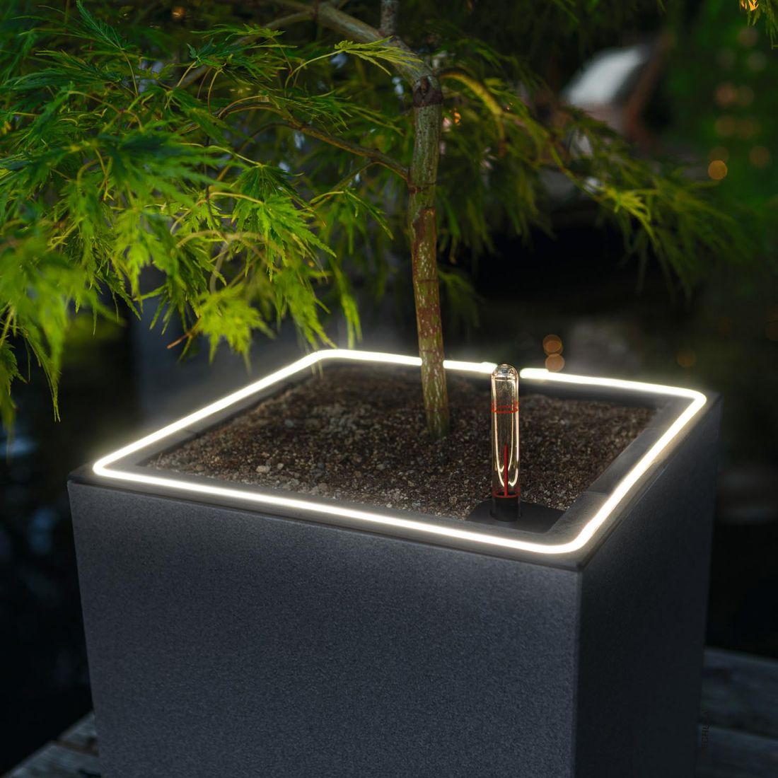 Lechuza Canto Stone 40 LED Pflanzgefäß mit Beleuchtung Kunststoff