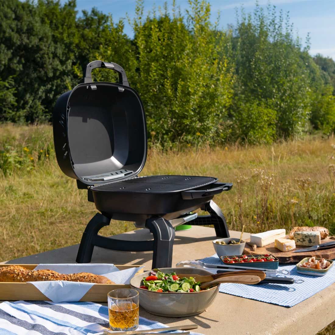 Napoleon TRAVELQ 240 Gasgrill