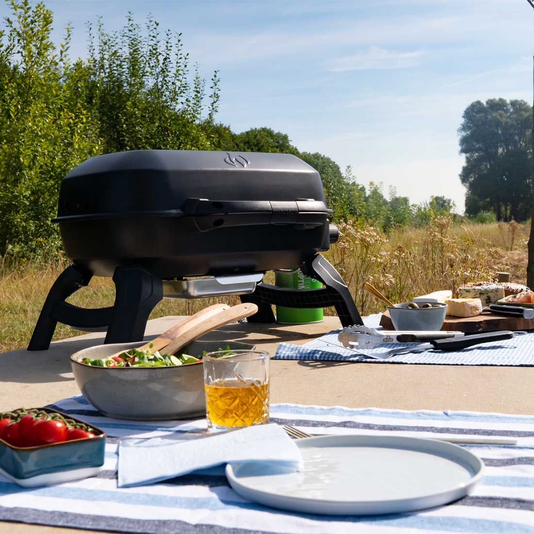 Napoleon TRAVELQ 240 Gasgrill