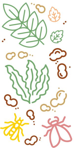 Partikel von Laub, Staub, Sand, abgestorbene Algen und tote Insekten