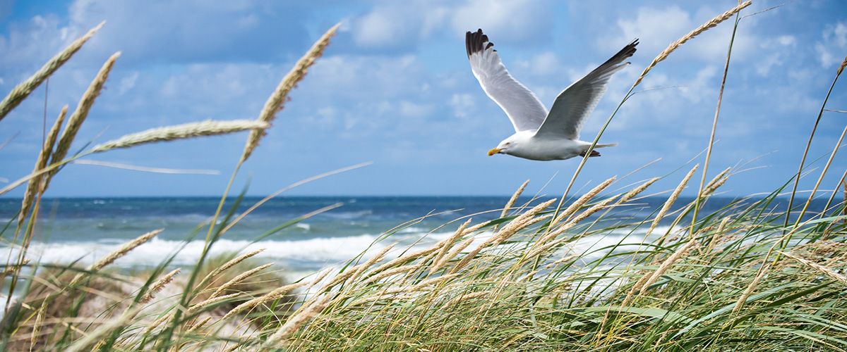 Korrosionen am Metall am Meer Korrosionen am Metall am Meer