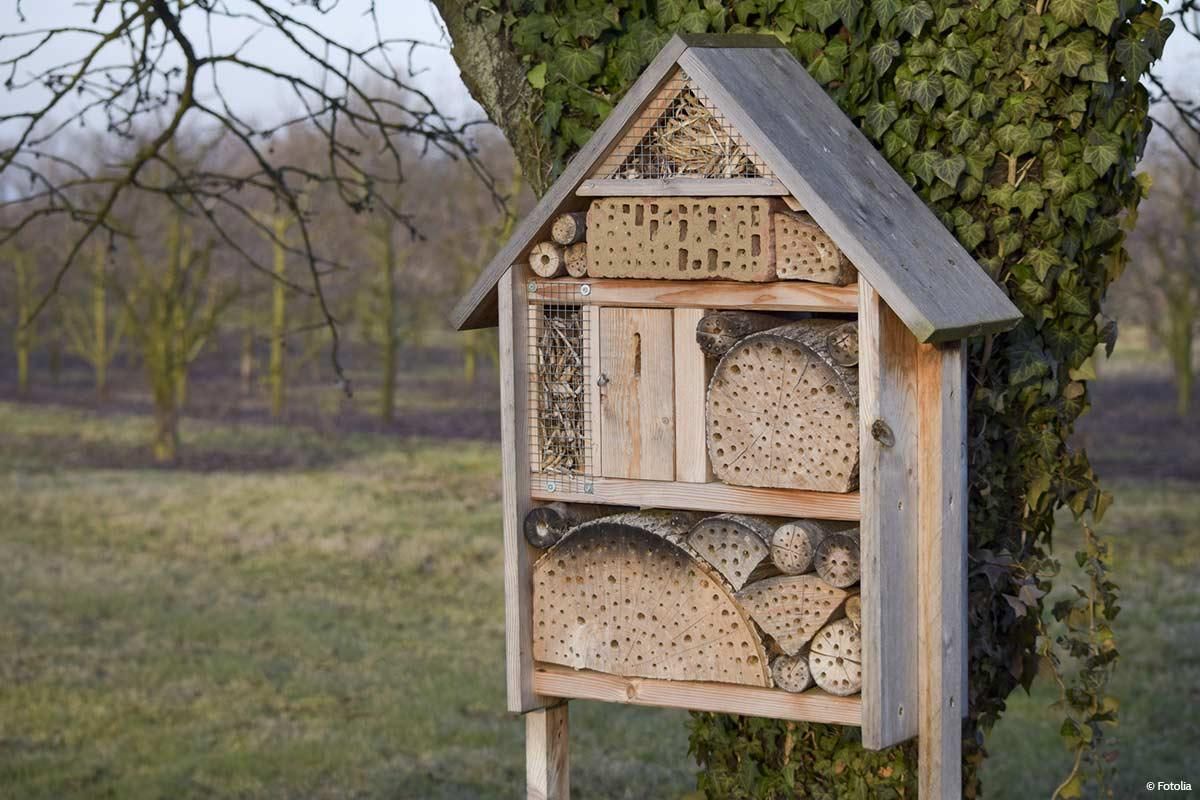 Insektenhotel Standort Hohe