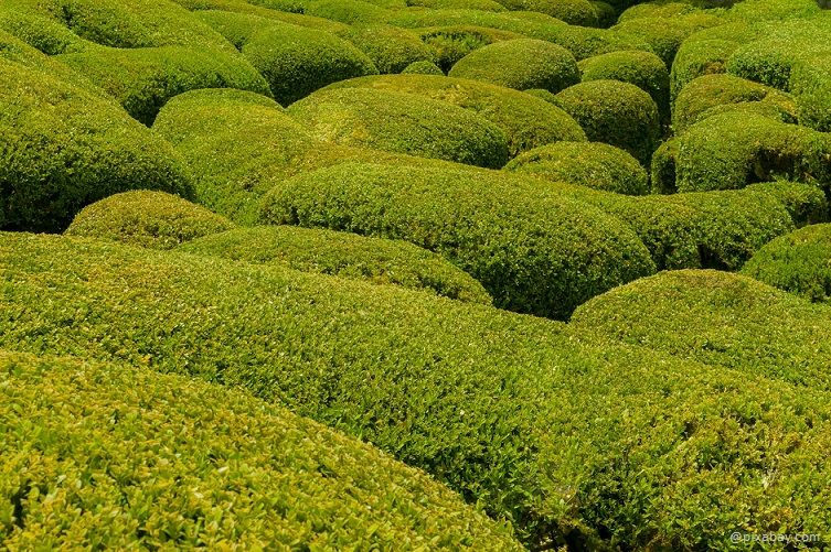 Hecke Hecke