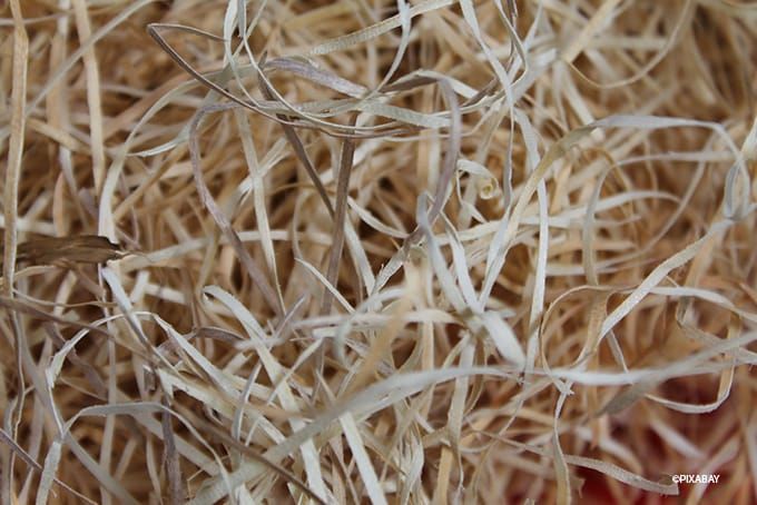 Insektenhotel Füllung Holzwolle