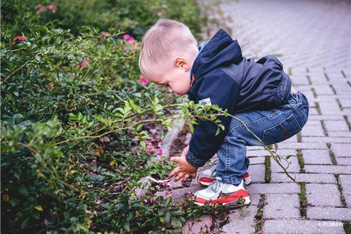Kleinkind fasst Blumen an Kleinkind fasst Blumen an