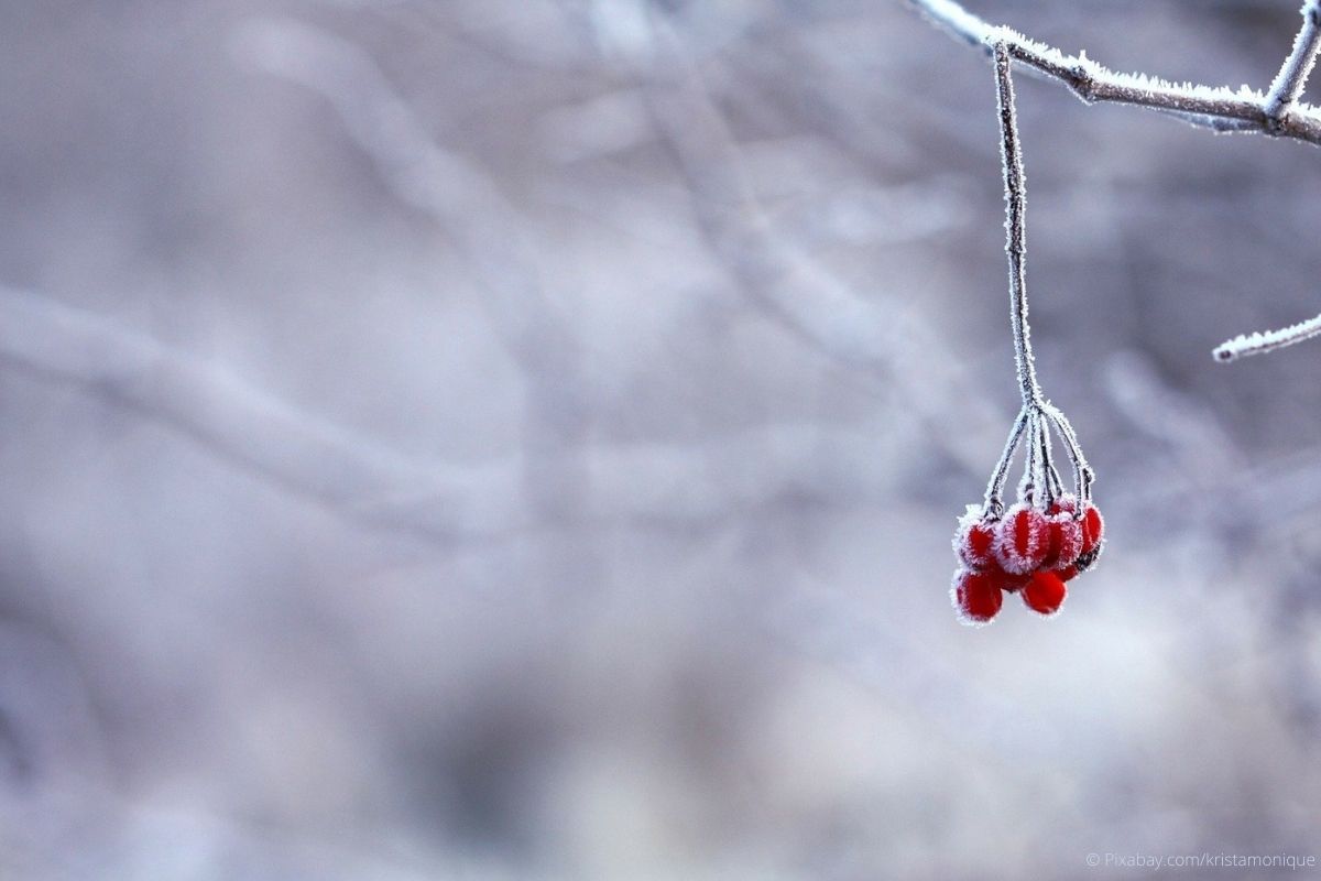 Winterlandschaft