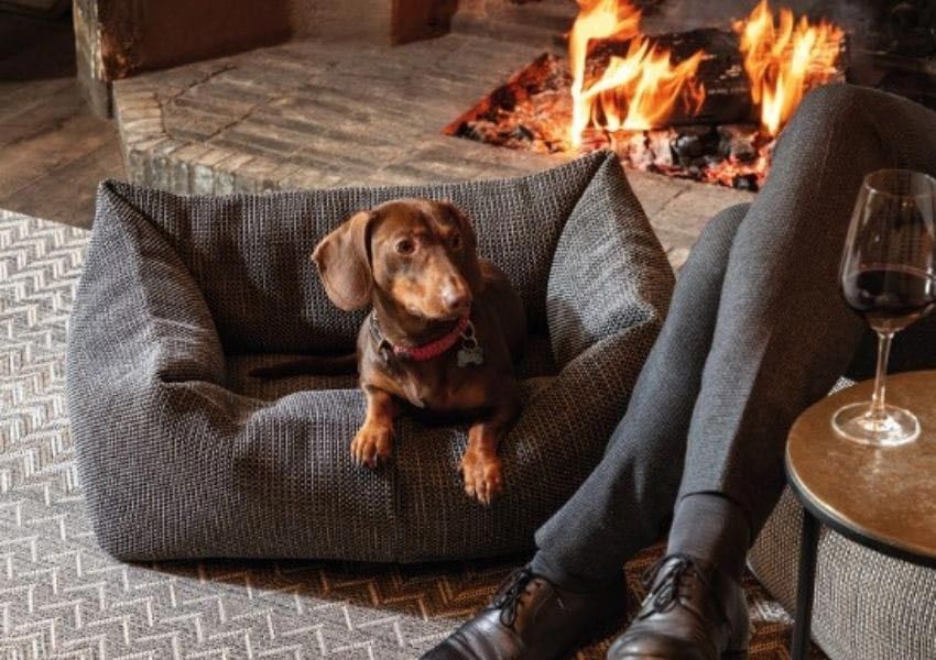 Hundebett Roolf Living Hundebett Roolf Living