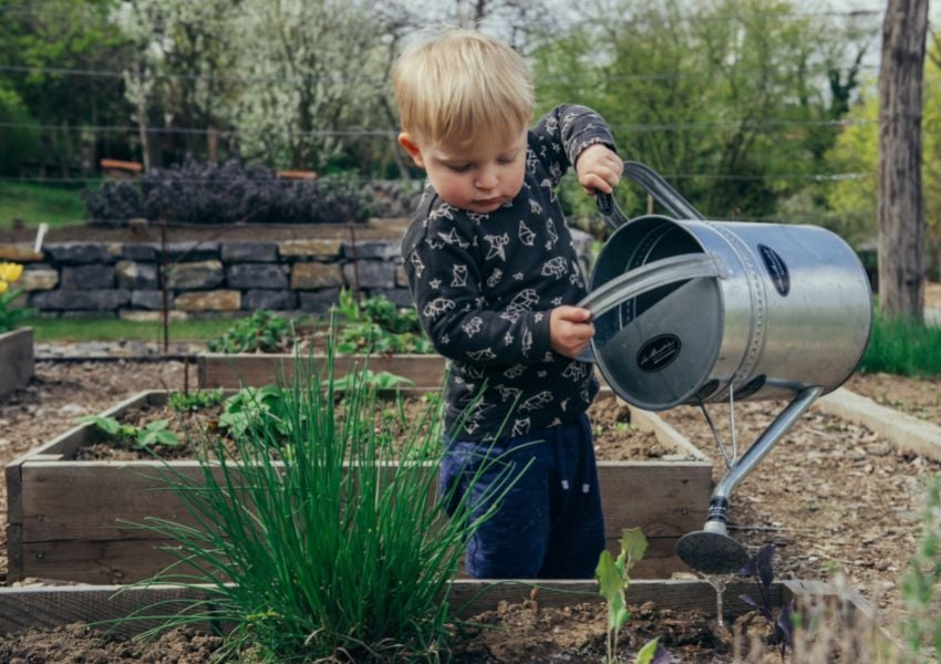 40+ Radiezwieski Der Selbstversorger Garten, Das pflanzenschutzgesetz
