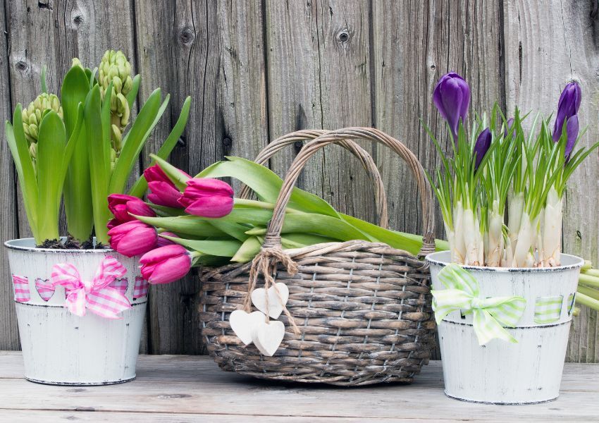 Blumen-Arragement Blumen-Arrangement