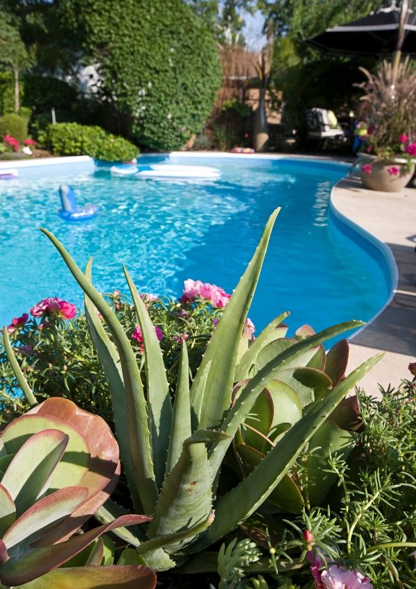 Gartenpool Gartenpool