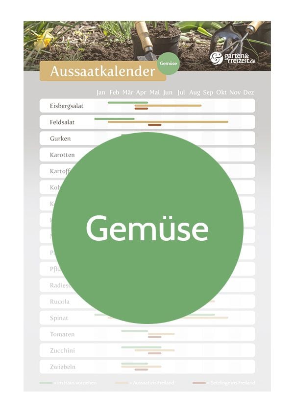 Aussaatkalender GartenundFreizeit.de