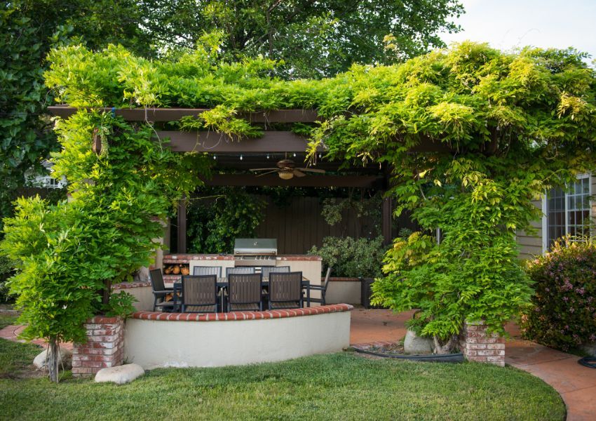 Pergola mit Kletterpflanzen Pergola mit Kletterpflanzen