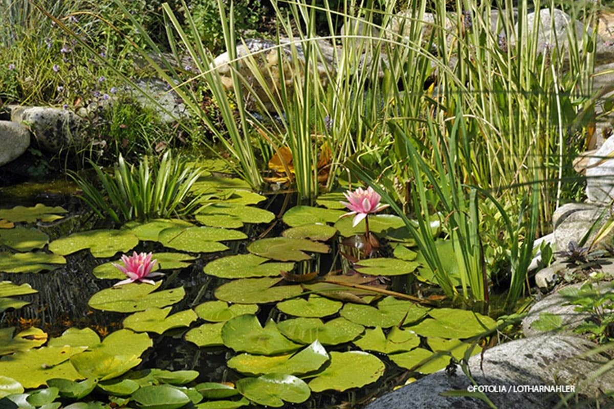Senkgarten GartenundFreizeit.de