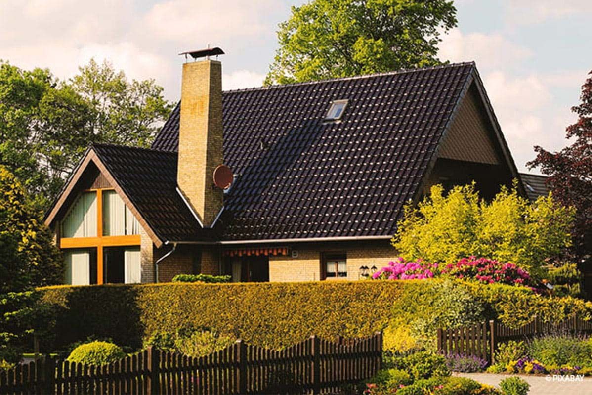 Hecke als Sichtschutz Garten Hecke als Sichtschutz Garten